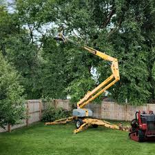 Best Sod Installation  in Bryn Mawr, PA